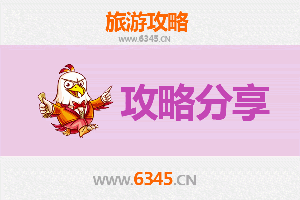 长沙旅游选择指南：跟团游与自由行全方位对比